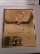 Puheenjohtaja Tytti Frylle myönnettiin Invalidiliiton kultainen plaketti